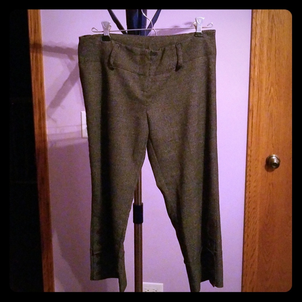 Gray Capris